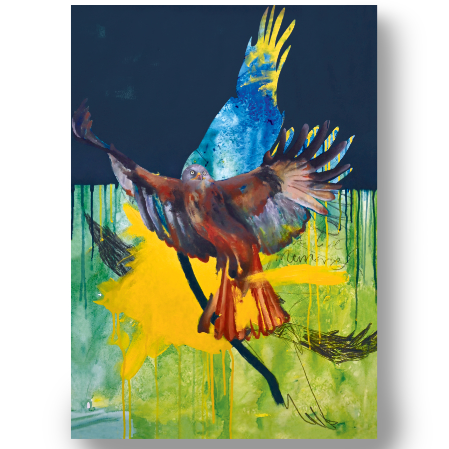 This Red Kite Bird Print mounted on a wall was painted by Rebecca Taylor.